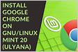 Google Chrome for Linux Download and Installatio